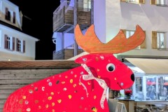 PXL_20251128_203047016.NIGHT2_