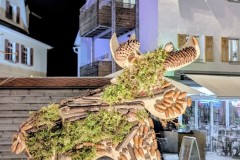 PXL_20251128_203107461.NIGHT2_