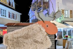 PXL_20251128_203126385.NIGHT2_