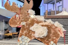 PXL_20251128_203141941.NIGHT2_