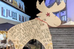 PXL_20251128_203207096.NIGHT2_