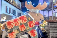 PXL_20251128_203251444.NIGHT2_