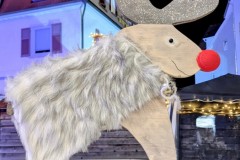 PXL_20251128_203351036.NIGHT2_