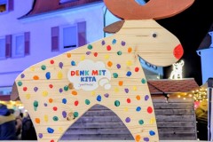 PXL_20251128_203409196.NIGHT2_