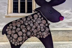 PXL_20251128_203500799.NIGHT2_