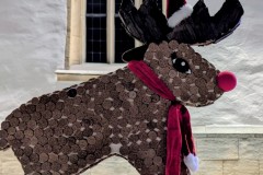 PXL_20251128_203532619.NIGHT2_