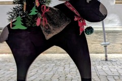 PXL_20251128_203640857.NIGHT2_