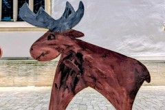 PXL_20251128_203732393.NIGHT3_