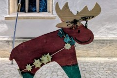 PXL_20251128_203801850.NIGHT2_