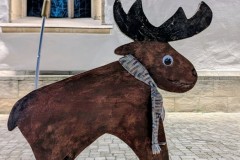 PXL_20251128_203821755.NIGHT2_