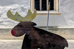 PXL_20251128_203840440.NIGHT2_