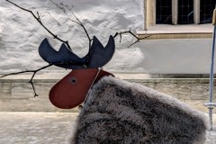 PXL_20251128_203949297.NIGHT2_