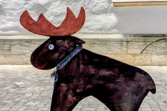 PXL_20251128_204010998.NIGHT2_