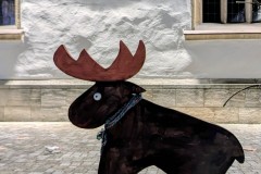 PXL_20251128_204010998.NIGHT3_