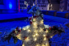 PXL_20231201_172256890.NIGHT2_