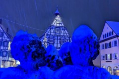 PXL_20231201_172444070.NIGHT2_