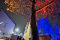PXL_20231201_174350477.NIGHT2_