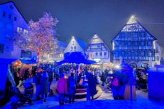 PXL_20231201_174651397.NIGHT2_