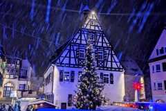 PXL_20231201_174801066.NIGHT2_