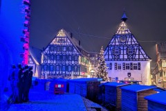 PXL_20231201_175038753.NIGHT2_