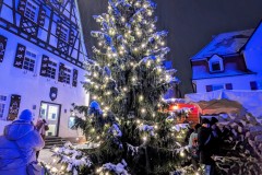PXL_20231201_181758496.NIGHT2_