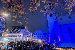 PXL_20231201_182739265.NIGHT_