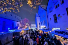 PXL_20231201_182757671.NIGHT2_