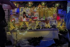 PXL_20231201_183524501.NIGHT2_
