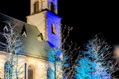 PXL_20251128_163733433.NIGHT2_