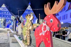 PXL_20251128_164742922.NIGHT2_