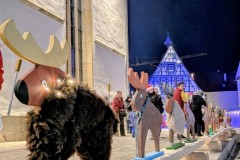 PXL_20251128_164937470.NIGHT3_