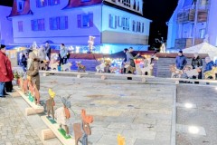 PXL_20251128_165000089.NIGHT3_