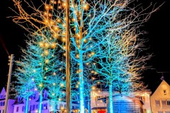 PXL_20251128_165128882.NIGHT3_