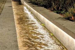 PXL_20251128_165351995.NIGHT2_