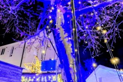 PXL_20251128_172104673.NIGHT3_