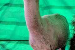 PXL_20251128_1729448092