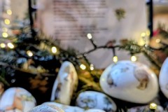 PXL_20251128_175518951.NIGHT2_