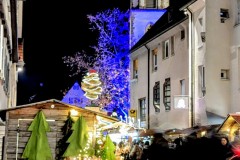 PXL_20251128_181129040.NIGHT2_