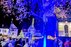 PXL_20251128_190322931.LONG_EXPOSURE-02.ORIGINAL2