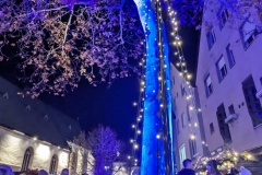 PXL_20251128_190550839.LONG_EXPOSURE-02.ORIGINAL