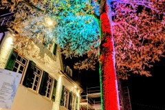 PXL_20251128_192945834.NIGHT2_