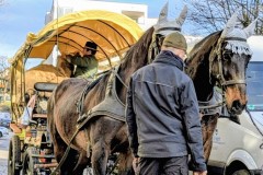 PXL_20251129_132325390.PORTRAIT.ORIGINAL3