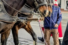 PXL_20251129_132741476.MP2_