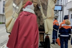 PXL_20251129_132756807.MP2_