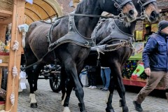 PXL_20251129_1330063302