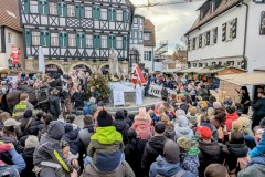 PXL_20251129_133453297.ACTION_PAN-02.ORIGINAL2