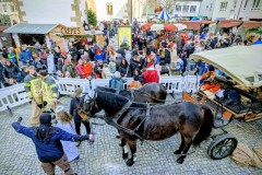 PXL_20251129_1341226572