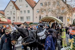 PXL_20251129_1342204302