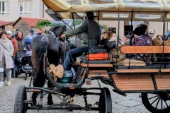 PXL_20251129_134737060_exported_446302