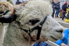 PXL_20251129_1421090272